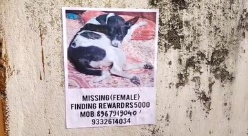 পচাইয়ের