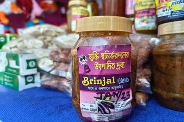বেগুনের