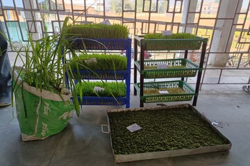 বিকল্প