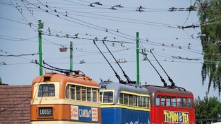 Trolly Bus may run in Kolkaka