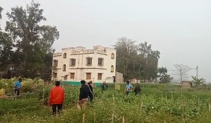 অভিযান চালিয়ে পোস্ত গাছ নষ্ট করছে   পুলিশ।