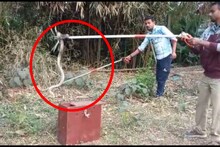 শিশুদের চোখে না পড়লে হত বিশাল বিপদ, জোড়া বিষধর দেখে আতঙ্ক