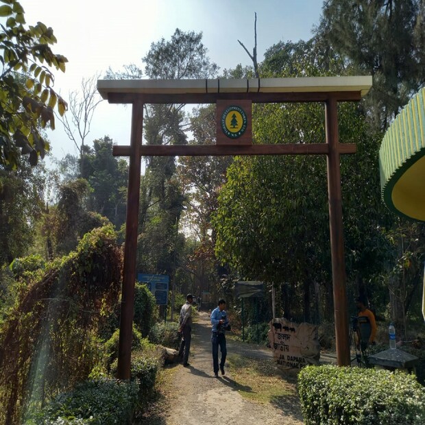 স্কুলের ছাত্র-ছাত্রীদের জন্য রয়েছে বিশেষ প্রকৃতি পাঠের ব্যবস্থা। এ যেন জলদাপাড়া অভয়ারণ্যের রেপ্লিকা। এখানে এসে তাই অনেক ছাত্র-ছাত্রীদের জলদাপাড়া অভয়ারণ্যে যাওয়ার তাগিদ অনুভব করবে।