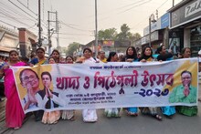 খাদ্য়প্রেমীদের জন্য নয়া ডেস্টিনেশন! নতুন বছরে পিঠেপুলি উৎসবে মাতবে বাঙালি