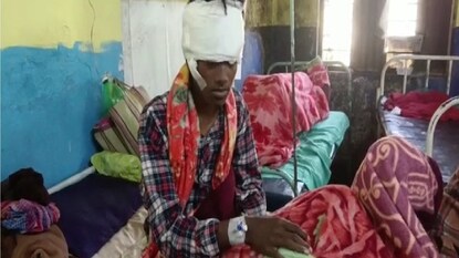 আলিপুরদুয়ারে চিতার হানা। আলিপুরদুয়ারে চিতার হানা।