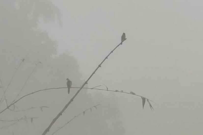 *সোমবার থেকে তাপমাত্রা ধীরে ধীরে নামবে। তবে কনকনে ঠান্ডা বা জাঁকিয়ে শীতের পরিস্থিতি এখনই ফিরবে না। শীতের আমেজ থাকবে আগামী সপ্তাহে।