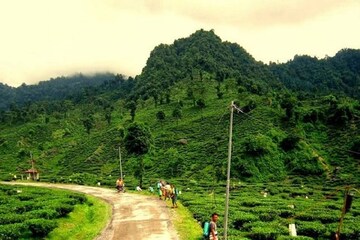 গরুবাথান