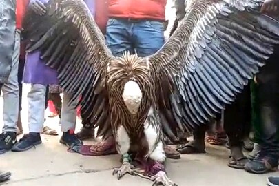 ছবি সৌজন্যে-ANI
ছবি সৌজন্যে-ANI