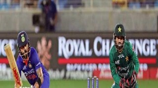 এই ছবি দেখা যেতে পারে কলকাতার ইডেন গার্ডেন্সে