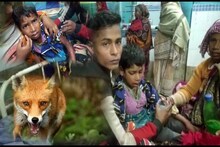 রাতে সামশেরগঞ্জের রাস্তায় কামড়-আতঙ্ক, ইতিমধ্যে মাংস খুবলে রক্তাক্ত ১৫ জন!