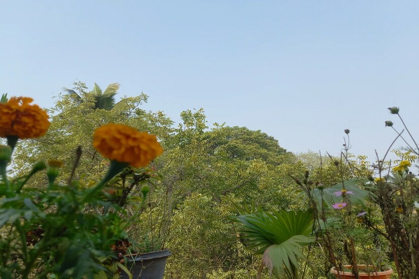 *২০২১ সালে তাপমাত্রা উঠেছিল ১৯.২ ডিগ্রি সেলসিয়াস। প্রতীকী ছবি। 