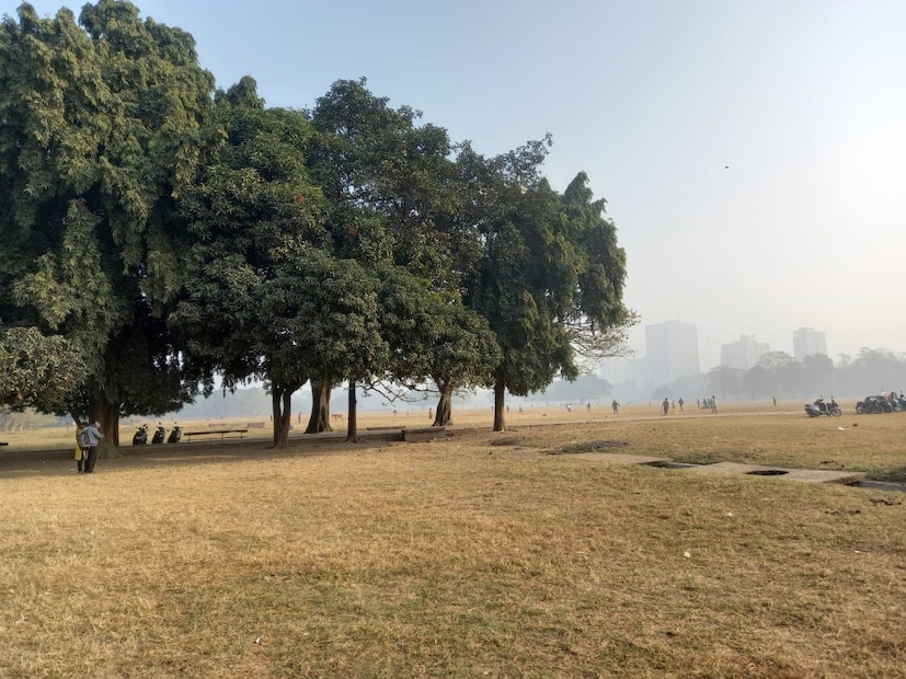 কলকাতার তাপমাত্রা আরও একটু বাড়ল। আগামী কয়েক দিন এভাবেই বাড়বে দিন ও রাতের তাপমাত্রা। সপ্তাহভর শুষ্ক আবহাওয়া থাকবে। বৃষ্টির কোনও সম্ভাবনা নেই। শীতের আমেজ ক্রমশ কমবে। সপ্তাহ শেষে উষ্ণতার ছোঁয়া।   Story: Biswajit Saha