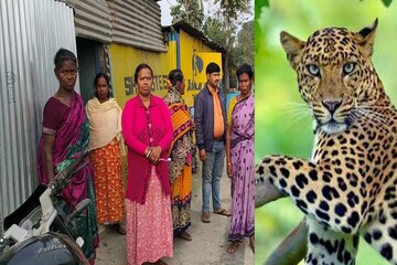 চিতা
