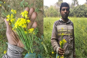 মানুষের