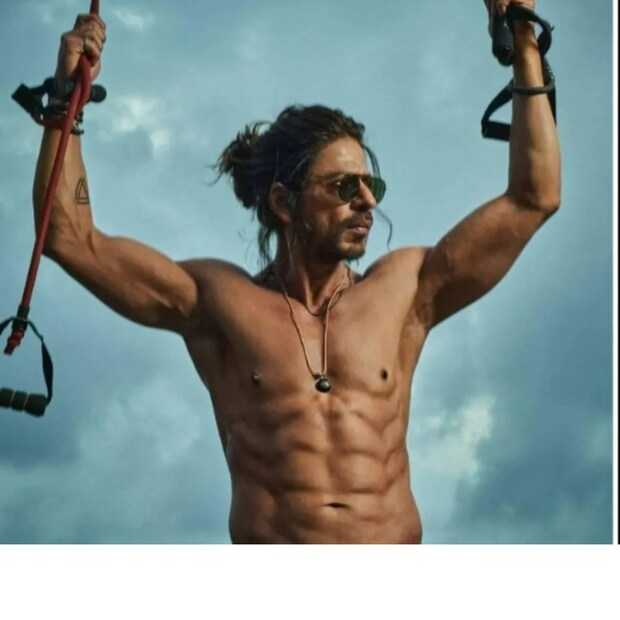 কিং খানের এক ভক্ত মন্টিকে জবাব দিয়েছেন, ১০০০ কোটি টাকারও বেশি ব্যবসা করবে পাঠান। 