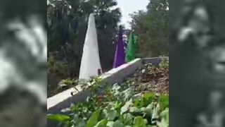 স্কুলে মিড-ডে মিল রান্নায় এই বাগানের আনাজ ব্যবহার করা হচ্ছে স্কুলে মিড-ডে মিল রান্নায় এই বাগানের আনাজ ব্যবহার করা হচ্ছে