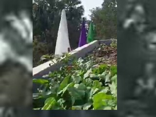 স্কুলে মিড-ডে মিল রান্নায় এই বাগানের আনাজ ব্যবহার করা হচ্ছে