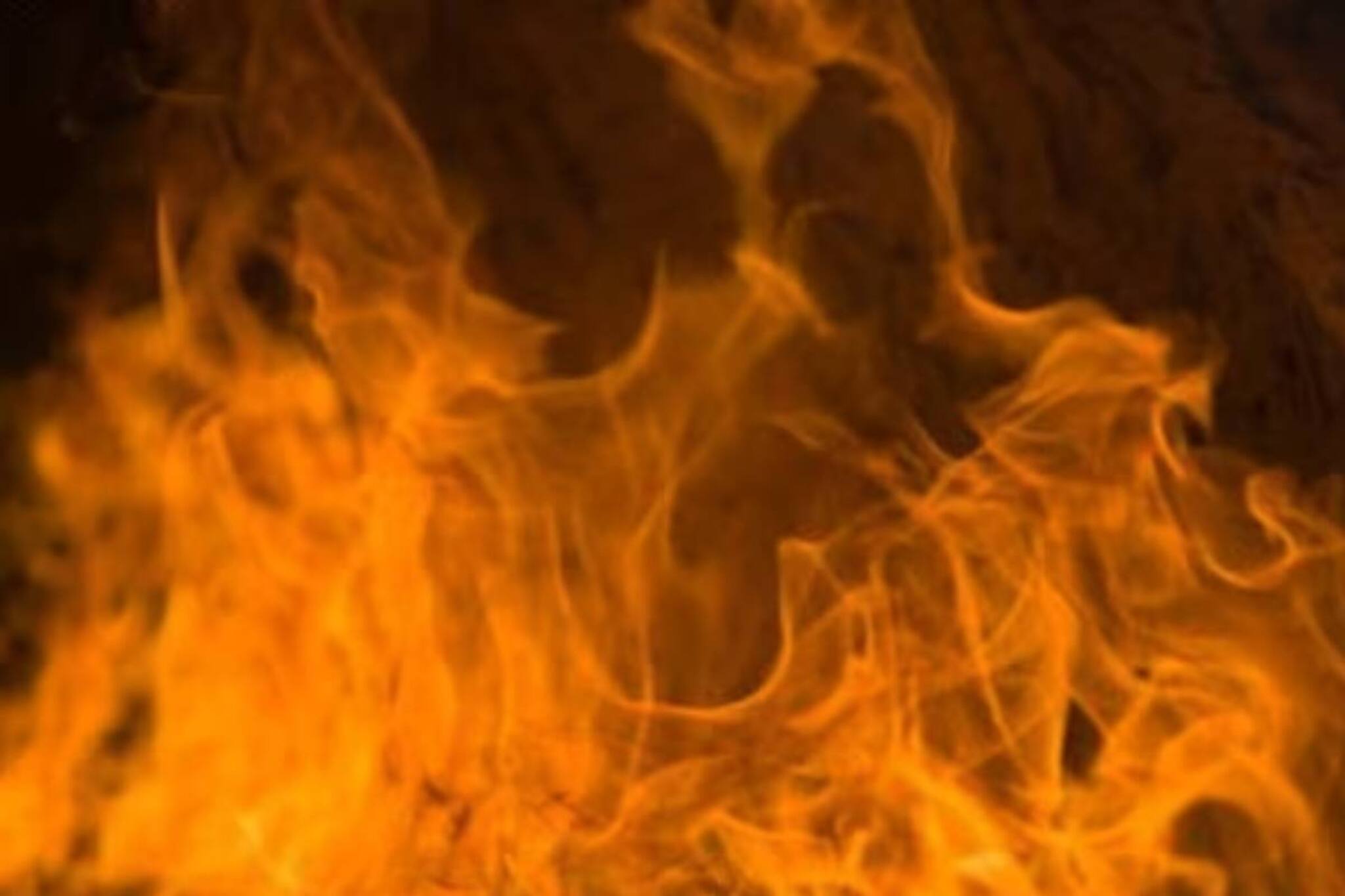 ডোমজুড়ে কেমিক্যাল কারখানায় আগুন! ঘটনাস্থলে দমকলের ৫ ইঞ্জিন