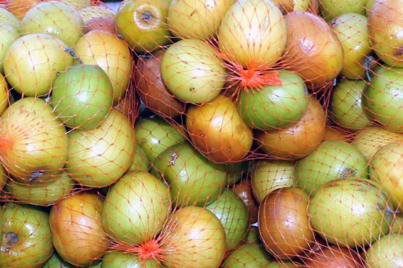কোষ্ঠকাঠিন্য দূর হয় কুলের ওষধি গুণে৷ 