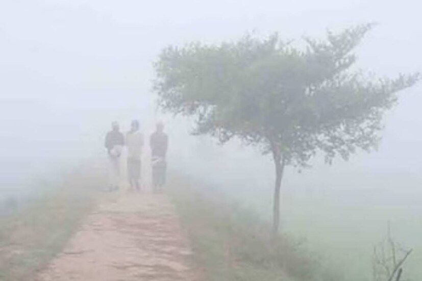 হাওড়ায় আগামী দু - তিন দিন এই শীতের দাপট থাকতে পারে বলেই জানা যাচ্ছে আবহাওয়া দফতর সূত্রে।