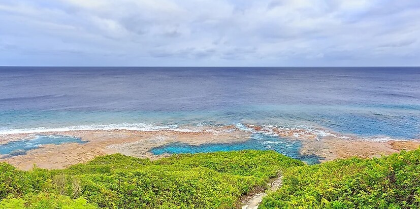 নিউ (Niue)