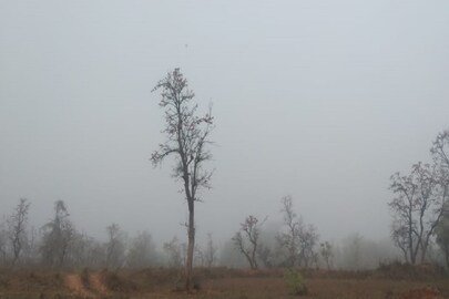Purulia News