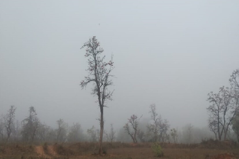 অযোধ্যা পাহাড়ের গা ঘেঁষে  একটা স্টেশন। কিন্তু এক অজানা আতঙ্কে এই স্টেশন খালি পড়ে রয়েছে প্রায় পঞ্চাশ বছর। স্থানীয়দের কাছে  ‘ভূতুড়ে স্টেশন’ হিসাবে পরিচিত এই স্টেশনের নাম বেগুনকোদর।