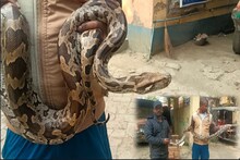 পাঁচফুটের পাইথন জড়িয়ে আছে গলা! কিছুক্ষণে যা ঘটল! চোখ কপালে উঠল মালদাবাসীর