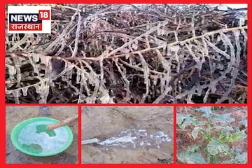 একেবারে সত্যি! ধাঁইধাঁই তাপমাত্রার পতন, রাজস্থানের মরুভূমি ঢাকল বরফে