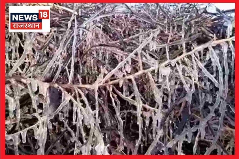 ফতেপুর কৃষি গবেষণা কেন্দ্রে  থার্মোমিটারে পারদ শূন্যের ওপরে উঠছেই না। রবিবার সকালে এখানকার তাপমাত্রা ছিল মাইনাস ৪.৭ ডিগ্রি। এটি চলতি মরশুমের রেকর্ড করা সর্বনিম্ন তাপমাত্রা। সাধারণ মানুষের জীবন একেবারে অতিষ্ঠা হয়ে গেছে৷