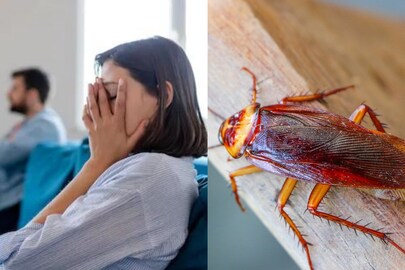 সোশ্যাল মিডিয়ায় ভাইরাল। প্রতীকী ছবি
