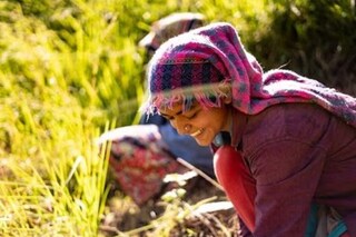 বাজেটে বড় ঘোষণার সম্ভাবনা। প্রতীকী ছবি

