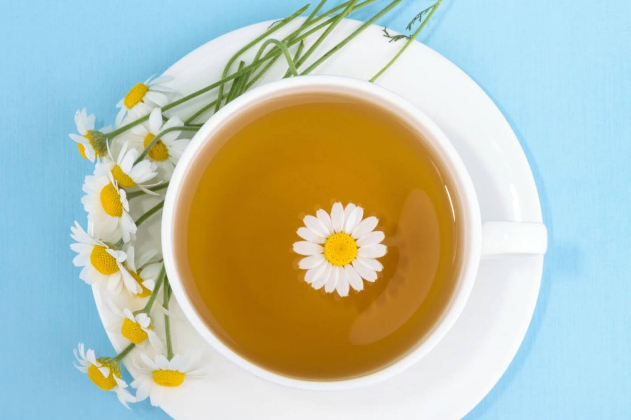 শীতকালে ঘন ঘন চা খাওয়ার অভ্যেস আছে? শরীরের কী কী ক্ষতি করছেন, জেনে নিন