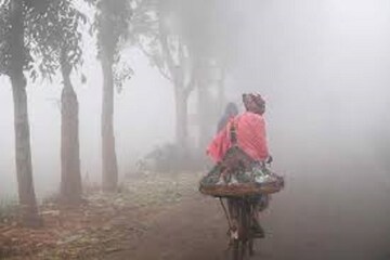 জানুয়ারিতে কনকনে ঠান্ডা বাংলায়! বৃষ্টির পূর্বাভাস কোথায়, জানুন আবহাওয়ার আপডেট