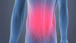 কোমরের ব্যথায় কাবু হয়ে পড়ছেন? ঘরোয়া টোটকাতেই আরাম মিলতে পারে, জেনে নিন