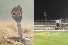 অতীত থেকে শিক্ষা, মাঠে সাপ ঠেকাতে একাধিক পদক্ষেপ গুয়াহাটি স্টেডিয়ামে