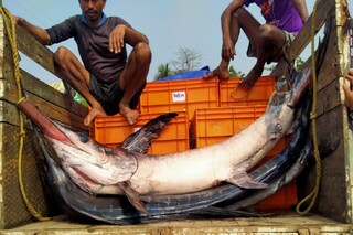 এ কোন দানব!