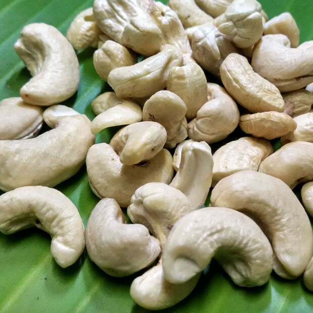 কাজুবাদামের স্বাস্থ্য উপকারিতা: কাজুবাদামের স্বাস্থ্য উপকারিতা কাজুতে উপস্থিত ম্যাগনেসিয়াম, ফাইবার, কার্বোহাইড্রেট রয়েছে, যা খেলে শরীর শক্তি পায় এবং ওজন নিয়ন্ত্রণে রাখে। এটি অল্প পরিমাণে সেবন করলে শরীরে শক্তি বৃদ্ধি পায়। এটি খেলে রোগ প্রতিরোধ ক্ষমতা শক্তিশালী হয় এবং শরীর সুস্থ থাকে। কাজু বাদাম খেলে কিডনির স্বাস্থ্য ভাল থাকে।