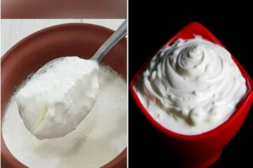 ৯০% মানুষ ডাঁহা ফেল! আপনিও কি 'Curd' আর 'Yogurt'-এর পার্থক্য বোঝেন না?