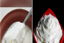 ৯০% মানুষ ডাঁহা ফেল! আপনিও কি 'Curd' আর 'Yogurt'-এর পার্থক্য বোঝেন না?