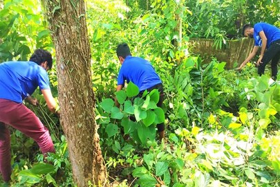 প্রতীকী ছবি