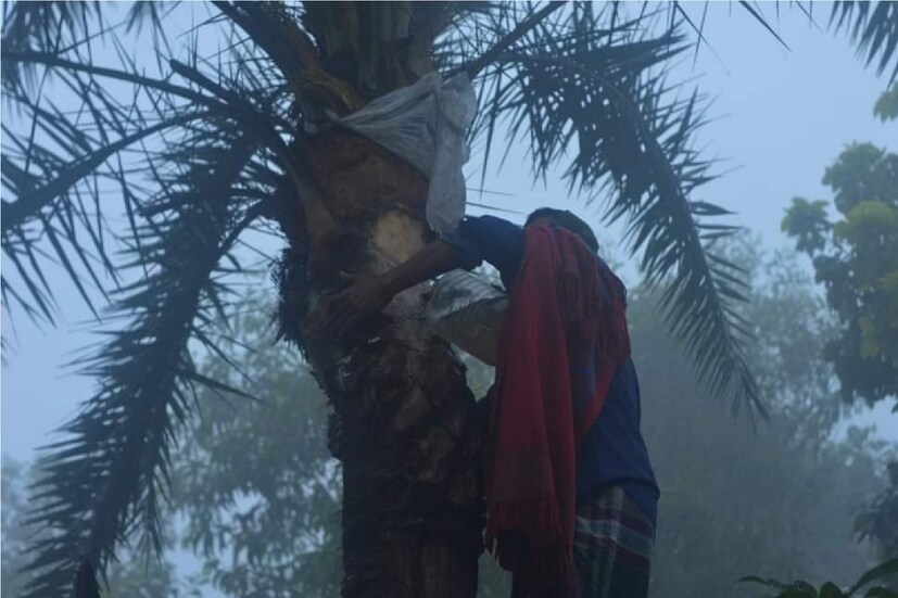 *ভোর ও সকালের দিকে হালকা ঠান্ডা। দিনভর গরম। চলতি সপ্তাহের শুরুতেও শীতের দেখা নেই। পূর্ব মেদিনীপুর জেলা সদর শহর তমলুক, শিল্পাঞ্চল শহর হলদিয়া এবং পর্যটন শহর দিঘা সহ সর্বত্রই তাপমাত্রা স্বাভাবিকের চেয়ে বেশি। প্রতিবেদনঃ সৈকত শী। ফাইল ছবি। 