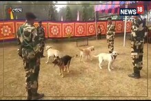 কুকুর ভালবাসেন? তাহলে এই ডগ শো আপনার জন্য‌ই