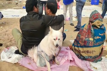 উপচে