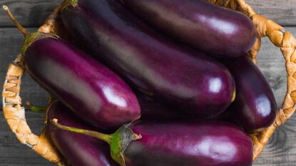 বেগুনের বদগুণ জানেন? রোজ বেগুন খেলে বহু রোগ দেহে বাসা বাঁধতে পারে, জেনে নিন বেগুনের বদগুণ জানেন? রোজ বেগুন খেলে বহু রোগ দেহে বাসা বাঁধতে পারে, জেনে নিন