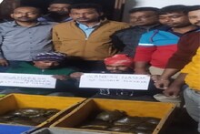 বন্যপ্রাণীদের নিয়ে ভয়ঙ্কর অপরাধ হচ্ছে এই জেলায়!