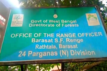 ধৃত
