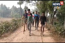 সন্ধ্যে নামলেই শিয়ালের আতঙ্কে তটস্থ হুগলির পাণ্ড বেশ কয়েকটি গ্রামের বাসিন্দারা
