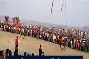 মেদিনীপুরে শুরু হয়েছে ঐতিহাসিক ঘোড়া দৌড় প্রতিযোগিতা