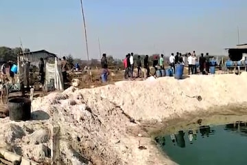 মাগুর